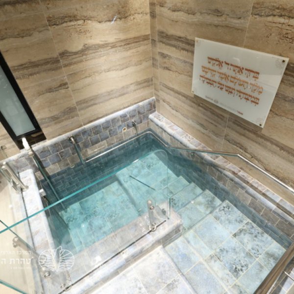 gallery picture